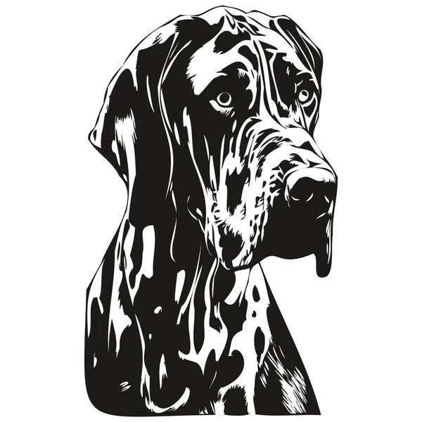 Grande Dinamarquês Cão Linha Arte Mão Desenho Vetor Logotipo Preto — Vetor de Stock