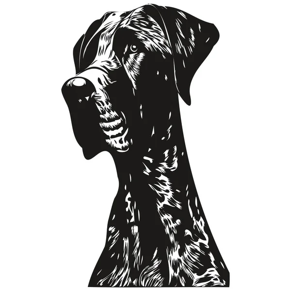 Great Dane Dog Logo Hand Drawn Line Art Vector Drawing — Stock Vector
