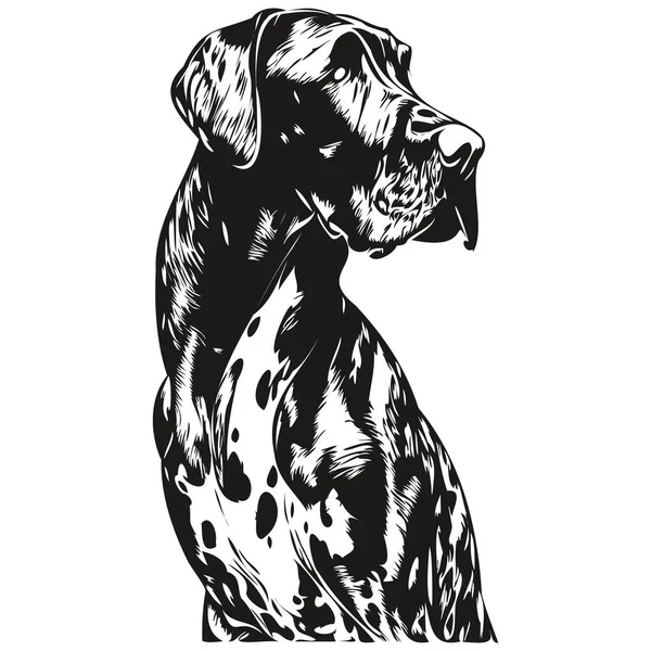 Логотип Собаки Great Dane Рука Намальована Лінія Мистецтва Векторний Малюнок — стоковий вектор