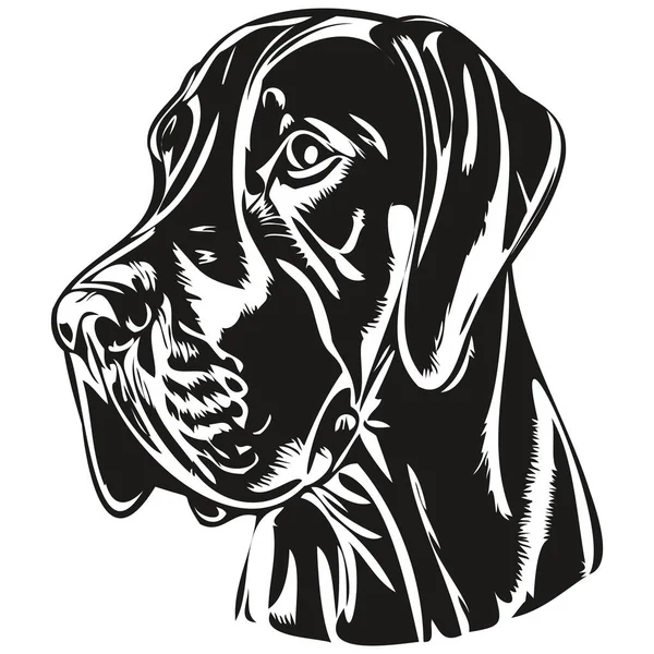 Great Dane Dog Vector Illustration Hand Drawn Line Art Pets — Stock Vector