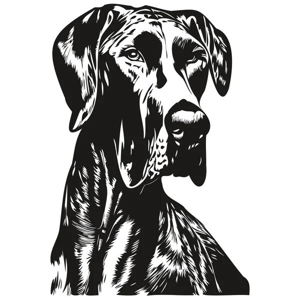 Grande Cão Dinamarquês Logotipo Desenhado Mão Linha Arte Vetor Desenho — Vetor de Stock
