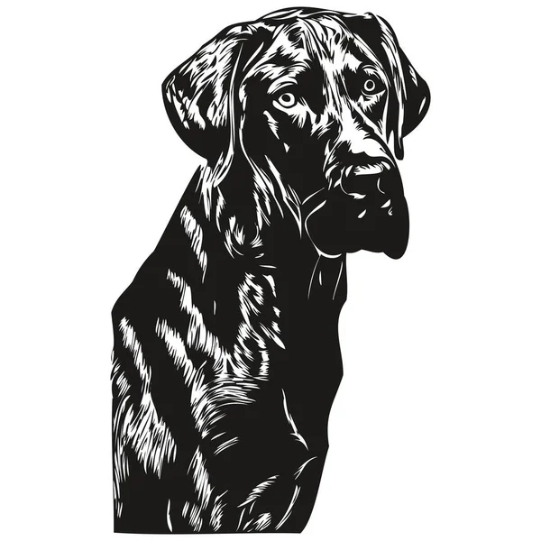 Великий Датчанин Вектор Иллюстрации Собаки Ручной Рисованной Линии Животного Логотип — стоковый вектор