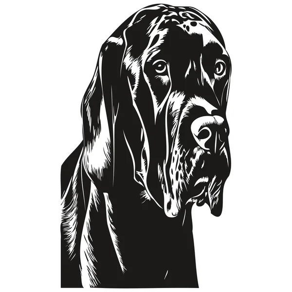 Grote Deen Hond Vector Illustratie Met Hand Getrokken Lijn Kunst — Stockvector