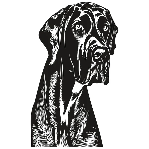 Gran Danés Perro Vector Ilustración Dibujado Mano Línea Arte Mascotas — Archivo Imágenes Vectoriales