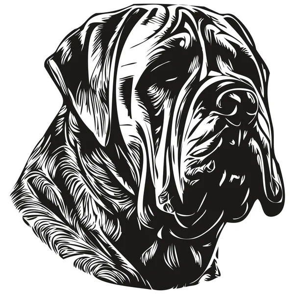 Mastim Cão Mão Desenhada Ilustração Preto Branco Vetor Animais Estimação — Vetor de Stock