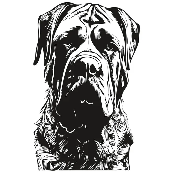 Mastiff Dog Hand Drawn Line Art Vector Drawing Black White — Stock Vector
