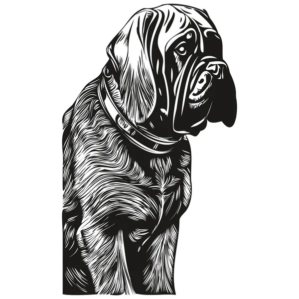 Mastiff Chien Ligne Dessinée Main Dessin Vectoriel Art Noir Blanc — Image vectorielle