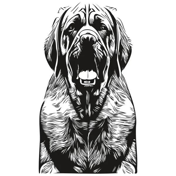 Logo Anjing Mastiff Gambar Tangan Garis Vektor Seni Gambar Hitam - Stok Vektor