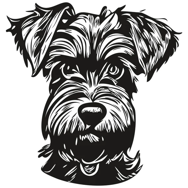 Miniaturní Knírač Pes Ručně Kreslené Čáry Art Vektor Kreslení Černé — Stockový vektor