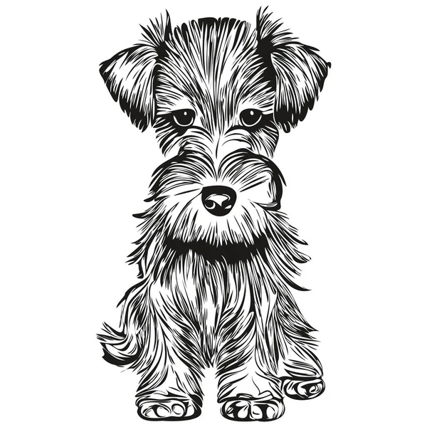 Мініатюрна Собака Шнауцер Рука Намальована Лінія Мистецтва Векторний Малюнок Чорно — стоковий вектор