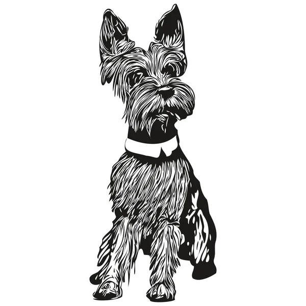 Мініатюрна Лінія Собаки Schnauzer Художній Малюнок Векторний Логотип Чорно Білих — стоковий вектор