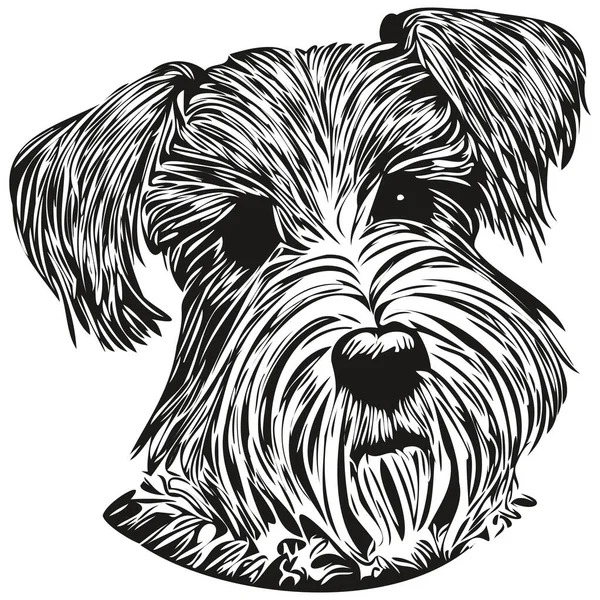 Minyatür Schnauzer köpek çizgisi sanat el çizimi vektör logosu siyah ve beyaz evcil hayvan çizimi
