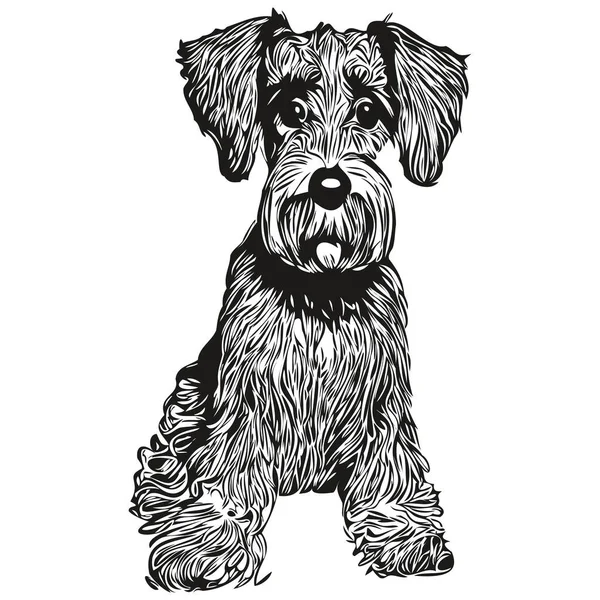 Miniature Schnauzer Dog Logo Hand Drawn Line Art Vector Drawing — Stock Vector