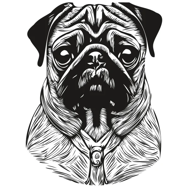 Pugs Dog Hand Drawn Line Art Vector Drawing Black White — Stock Vector