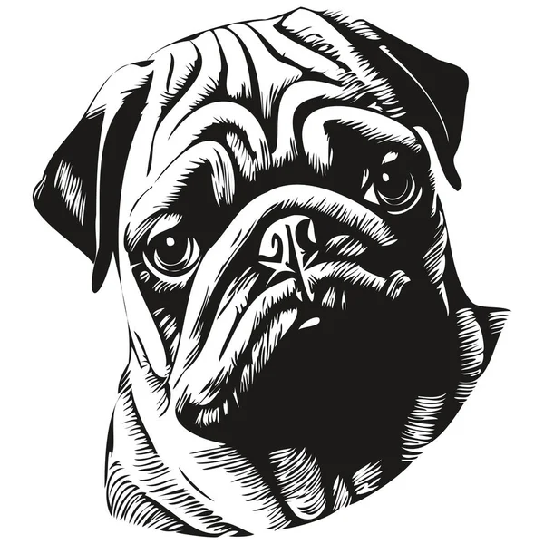 Pugs Dog Hand Drawn Vector Line Art Drawing Black White — Stock Vector