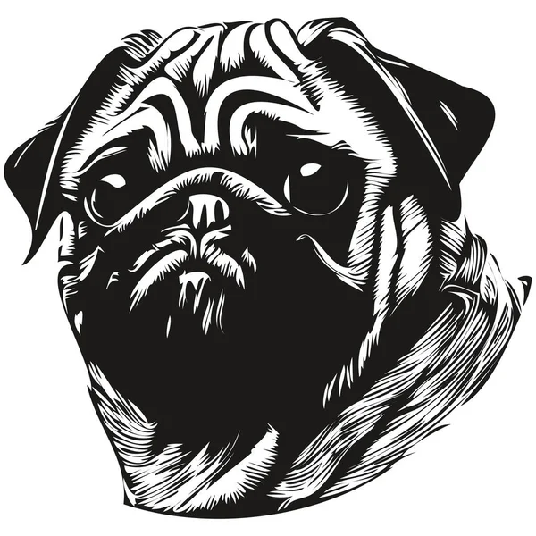 Pugs Pes Ručně Kreslené Čáry Art Vektor Kreslení Černé Bílé — Stockový vektor