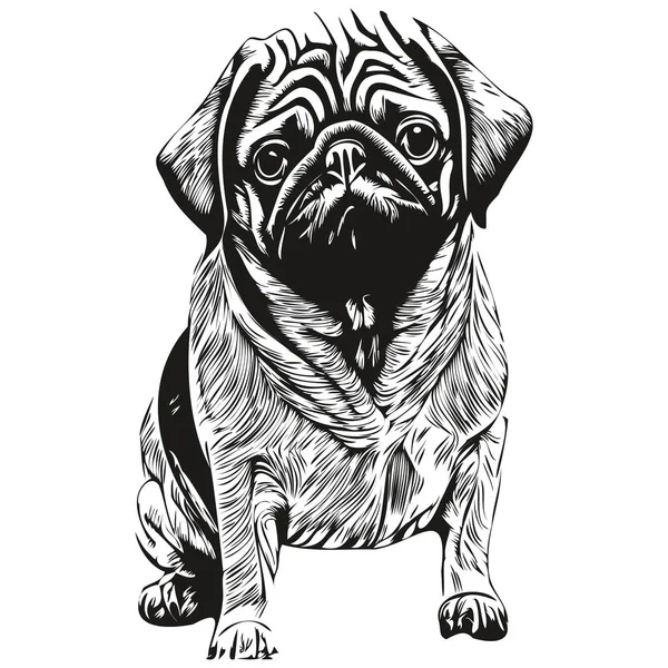 Pugs Dog Hand Drawn Vector Line Art Drawing Black White — Stock Vector