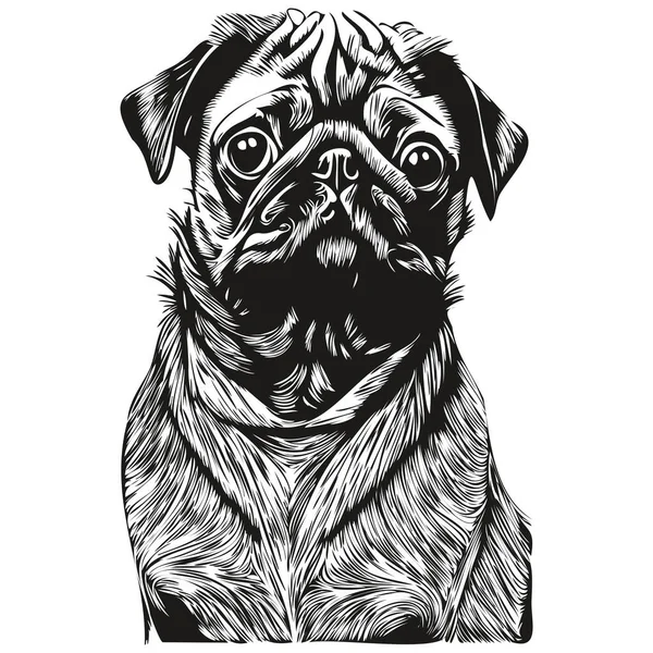 Pugs Hond Hand Getekend Vector Lijn Kunst Tekening Zwart Wit — Stockvector