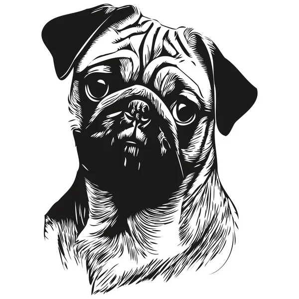 Pugs köpek eli çizilmiş vektör çizimi siyah beyaz logo hayvanları çizimi