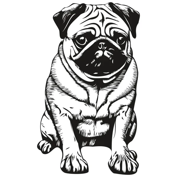 Möpse Hund Logo Handgezeichnete Linie Kunst Vektor Zeichnung Schwarz Und — Stockvektor