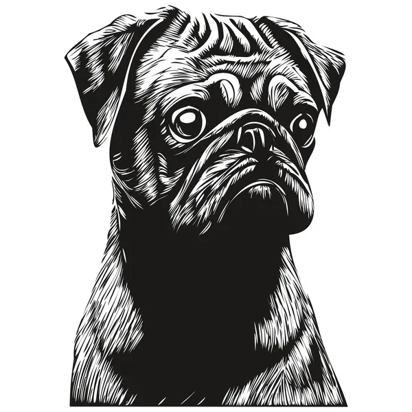 Pugs Dog Logo Hand Drawn Line Art Vector Drawing Black — Stock Vector