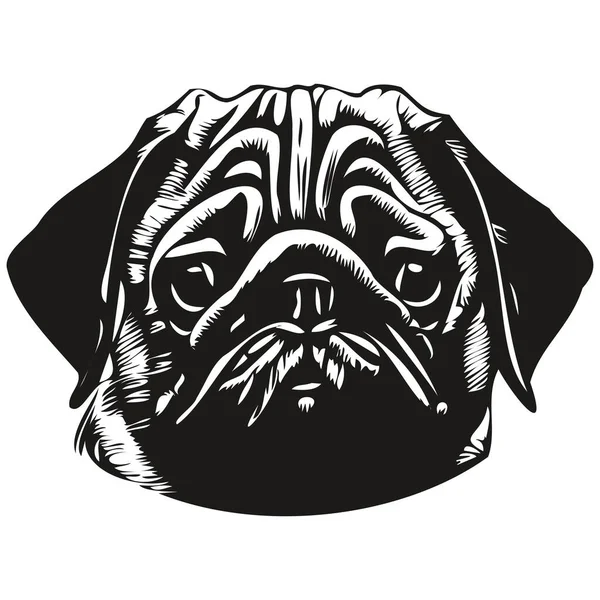 Pugs Hond Logo Hand Getrokken Lijn Kunst Vector Tekening Zwart — Stockvector