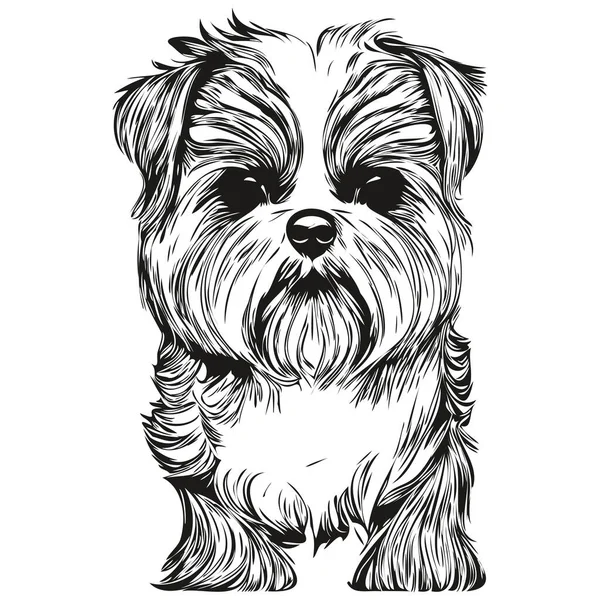 Shih Tzu Hund Handgezeichnete Linie Kunst Vektor Zeichnung Schwarz Weißes — Stockvektor