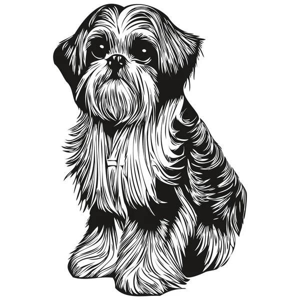 Shih Tzu Σκυλί Γραμμή Τέχνη Χέρι Σχέδιο Διάνυσμα Λογότυπο Μαύρο — Διανυσματικό Αρχείο
