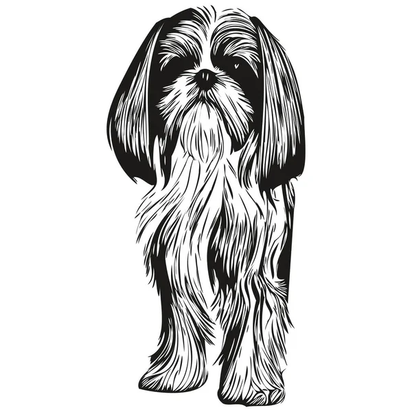 Shih Tzu Pies Linia Sztuka Ręka Rysunek Wektor Logo Czarno — Wektor stockowy