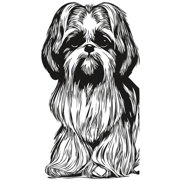 Shih Tzu Pies Logo Ręcznie Rysowane Linii Sztuki Wektor Rysunek — Wektor stockowy