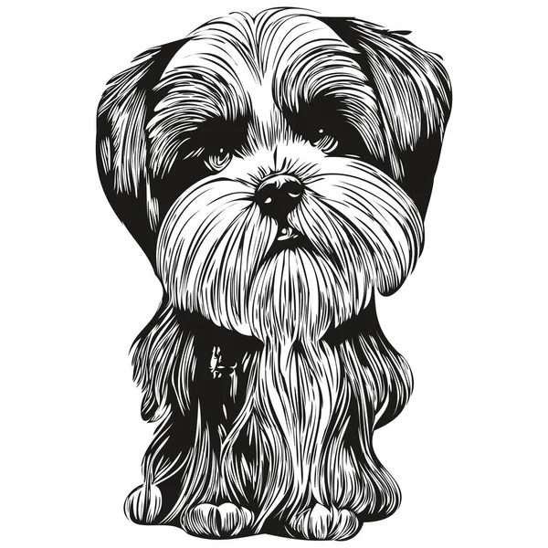 Shih Tzu köpek logosu çizilmiş sanat vektörü siyah beyaz evcil hayvan çizimi