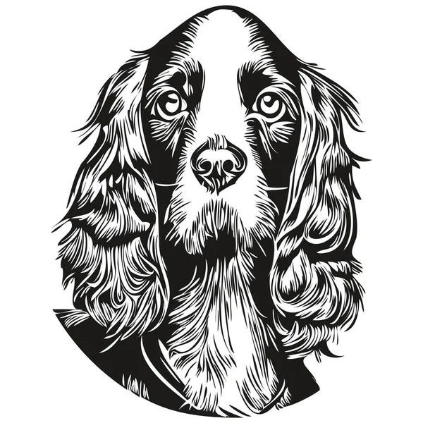 Spaniels Cocker Hond Vector Illustratie Met Hand Getrokken Lijn Kunst — Stockvector