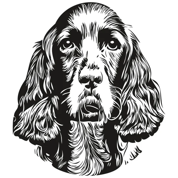 Spaniels Cocker Hundevektor Illustration Handgezeichnete Linie Kunst Haustiere Logo Schwarz — Stockvektor