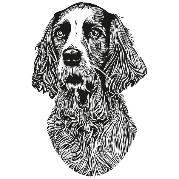 Spaniels Cocker Perro Vector Ilustración Dibujado Mano Línea Arte Mascotas — Archivo Imágenes Vectoriales