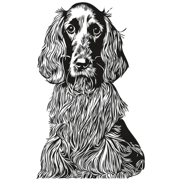 Spaniels Cocker Dog Vector Illustration Hand Drawn Line Art Pets Stock ...