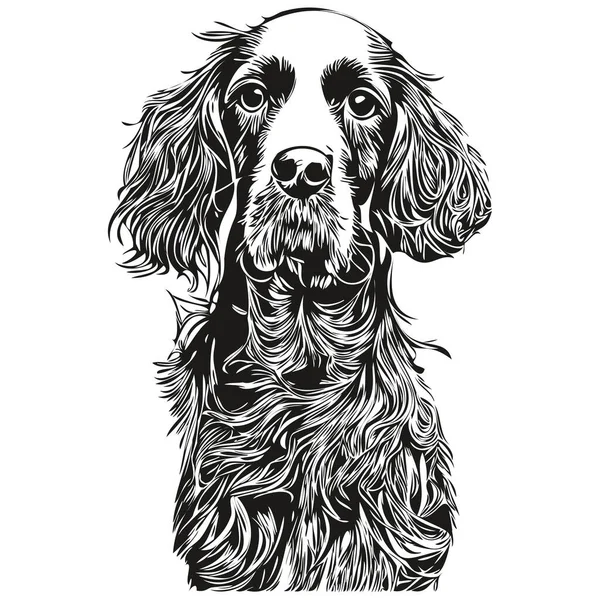 スペイン人 コッカー 犬ベクトルイラスト 手描きラインアートペットロゴ黒と白 — ストックベクタ