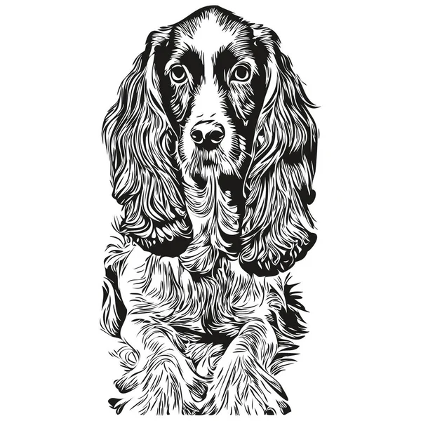 Spaniels Cocker Perro Vector Ilustración Dibujado Mano Línea Arte Mascotas — Vector de stock