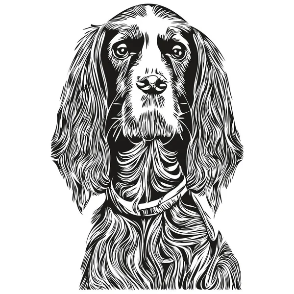 西班牙 狗矢量图解 手绘线条宠物标志黑白 — 图库矢量图片