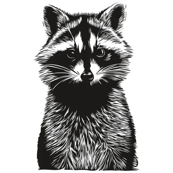 Raton Laveur Petit Animal Mignon Moelleux Réaliste Vecteur Noir Blanc — Image vectorielle