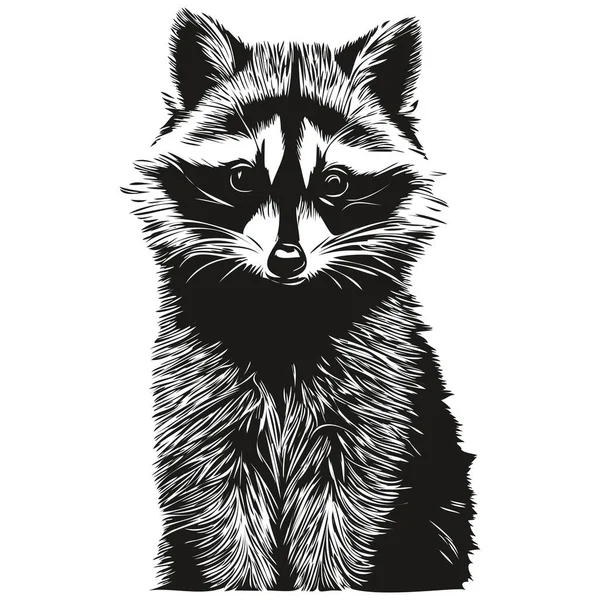 Vector Image Silhouette Raccoon White Background — Stock Vector
