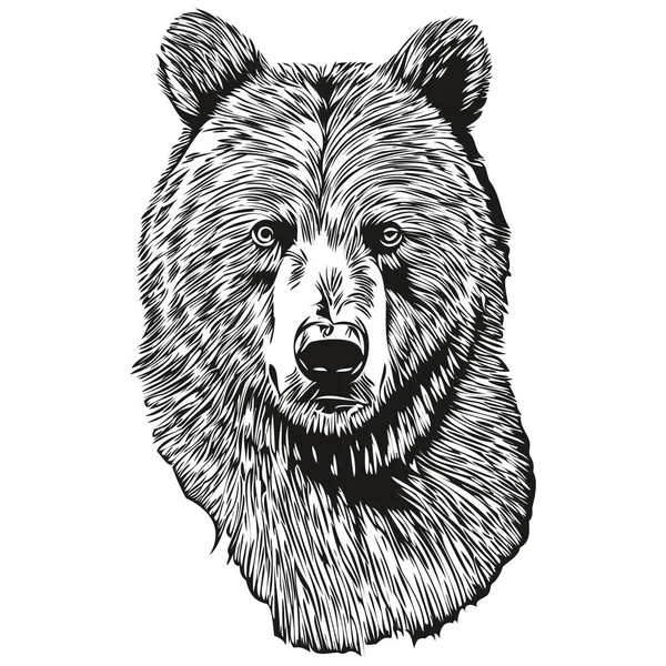 Bear Vintage Ilustrace Černobílé Vektorové Umění Brui — Stockový vektor