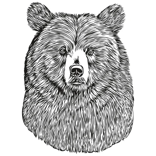 Αρκούδα Vintage Εικονογράφηση Μαύρο Και Άσπρο Διάνυσμα Τέχνης Brui — Διανυσματικό Αρχείο
