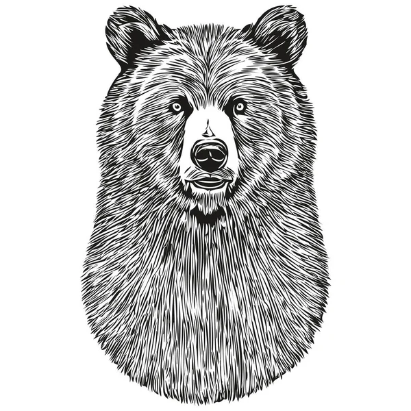 Медведь Нечеткий Графический Портрет Медведя Белом Фоне Бруи — стоковый вектор