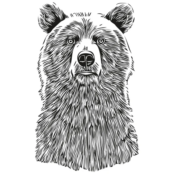 Векторная Линия Медведя Рисунок Черно Белый Бруи — стоковый вектор