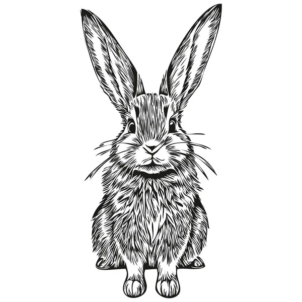 Black White Linear Paint Draw Rabbit Vector Illustration Har — Stock Vector