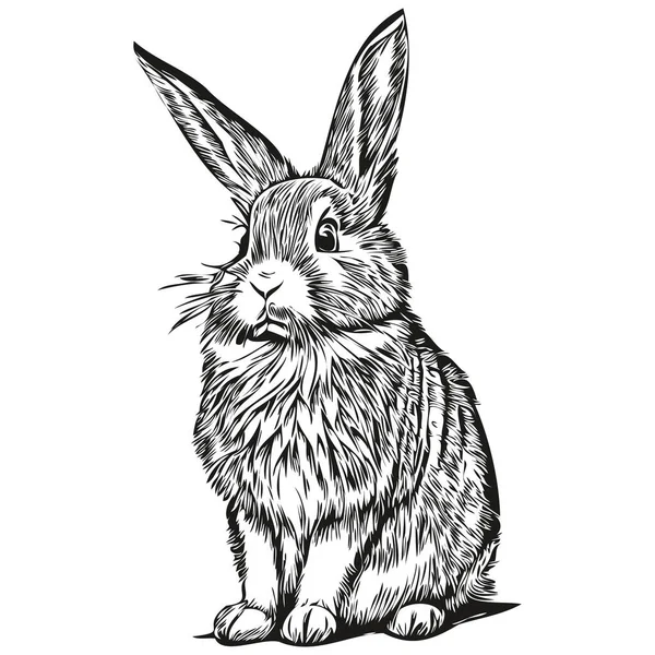 Black White Linear Paint Draw Rabbit Vector Illustration Har — Stock Vector