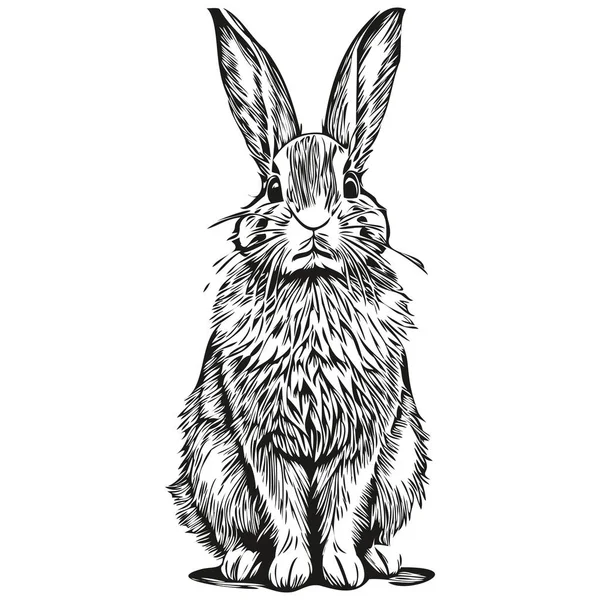 Dibujo Pintura Lineal Blanco Negro Conejo Vector Ilustración Har — Archivo Imágenes Vectoriales