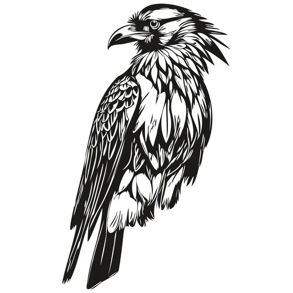 Black White Linear Paint Draw Raven Vector Illustration Corbi — Stock Vector