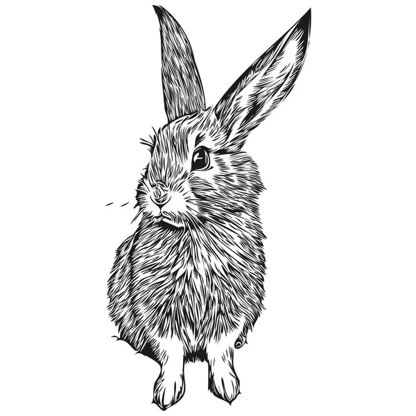 Cute Hand Drawn Rabbit Vector Illustration Black White Har — Stock Vector