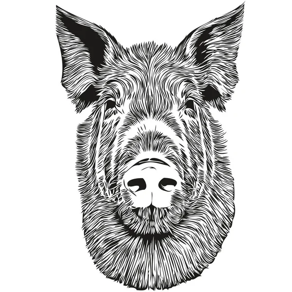 Ilustração de capivara, desenho, gravura, tinta, linha artística, cartazes  para a parede • posters vetor, vintage, esboço